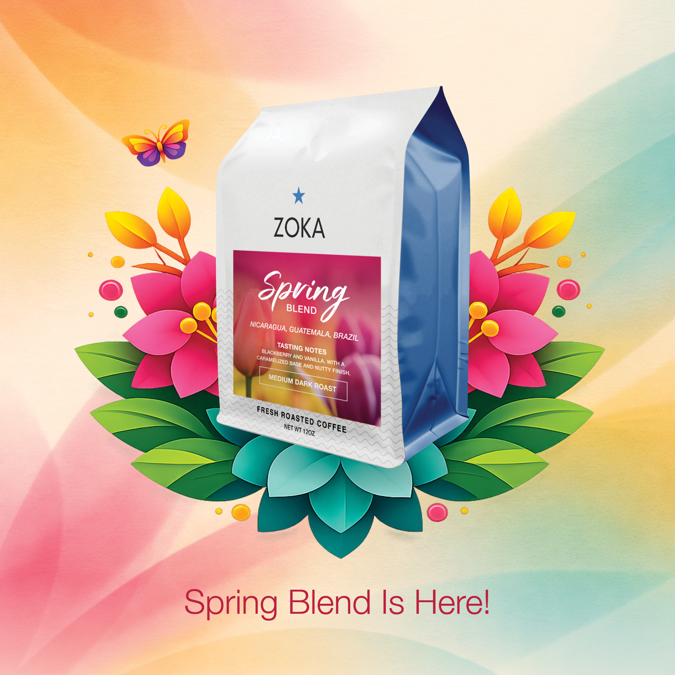 ピオフィ　オトガ　ランチョン　ダンテ　セット Spring Blend – Zoka Coffee Company