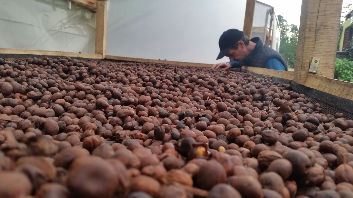 Single Origins Subscription