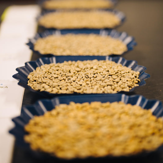 Kenya Gatina AB Washed