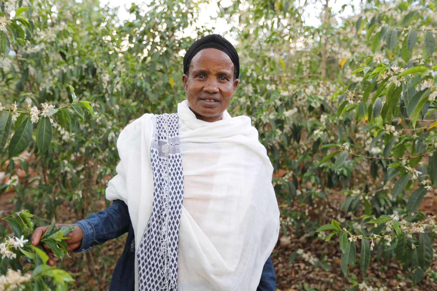 Ethiopia Mrs. Gemedech Natural