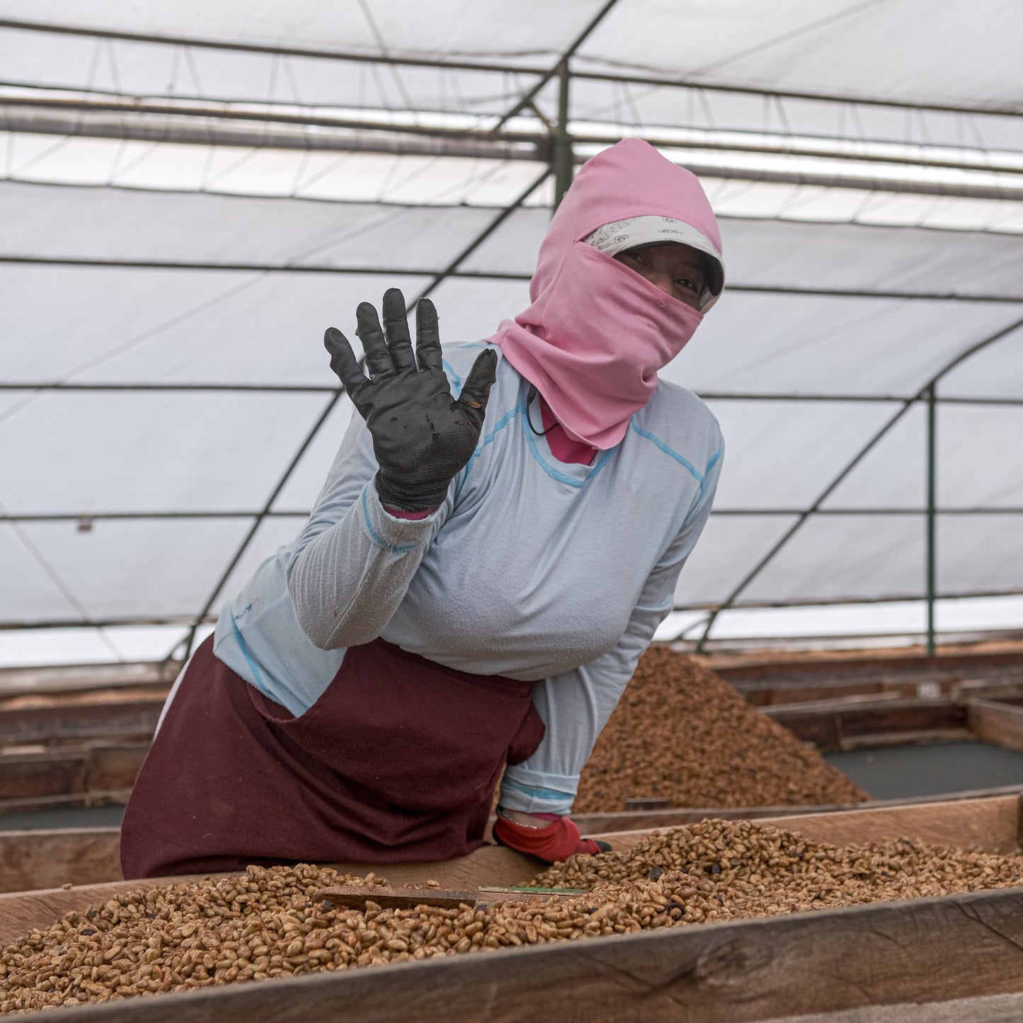 Nicaragua Fincas Mierisch Mama Mina