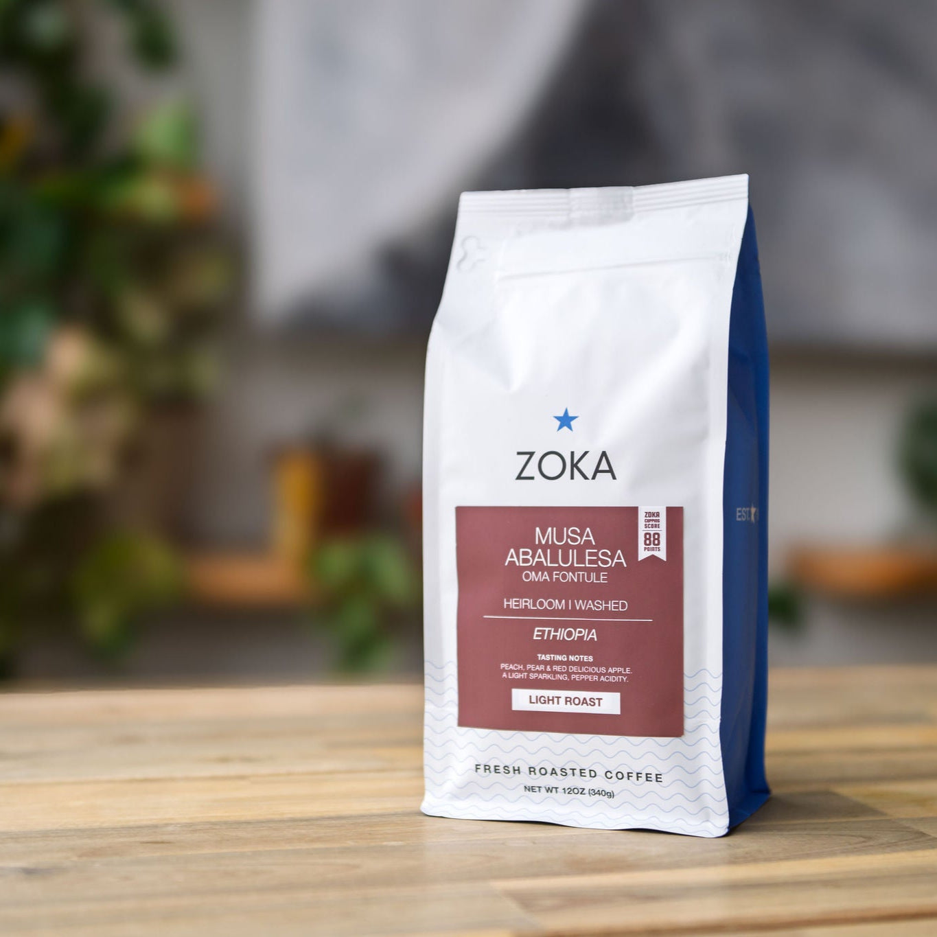 Ethiopia Musa Abalulesa Washed