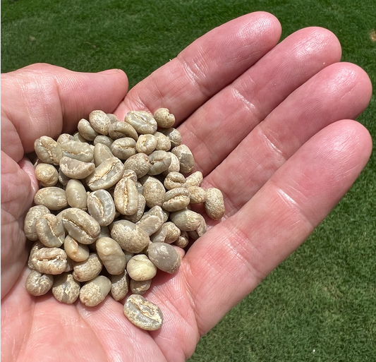 Kenya Ndimaini Peaberry SL34, SL28 Washed